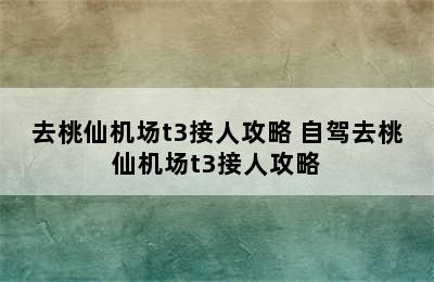 去桃仙机场t3接人攻略 自驾去桃仙机场t3接人攻略